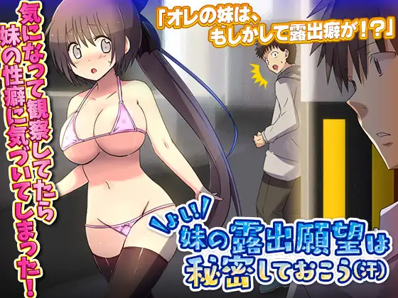 [ADV/PC/AI汉化] 好!妹的暴露欲望，还是保持秘密吧 汗 よし!妹の露出願望は秘密しておこう 汗 [100M/百度]-游戏网