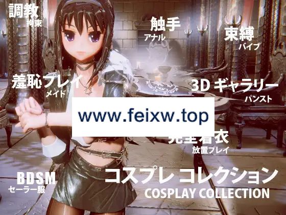 【3D/官方中文/新作】コスプレ コレクション【2G/度盘】-游戏网