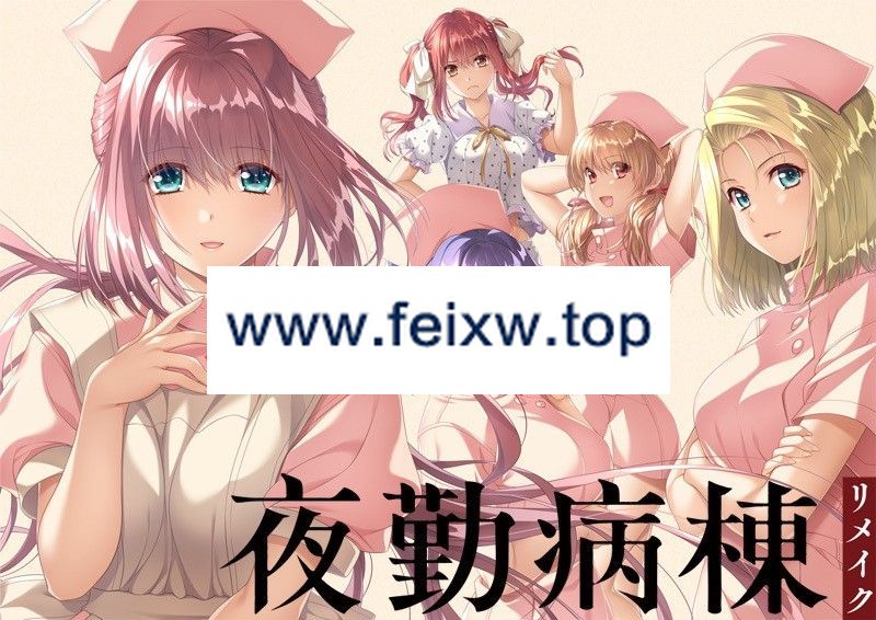 【ADV/AI智能翻译】夜勤病栋REMAKE / 夜勤病棟リメイク【6.5G/度盘】-游戏网