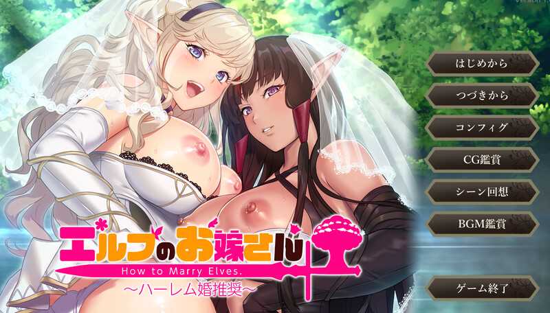 【拔作ADV/汉化】如何与精灵结婚~后宫结婚推奖/エルフのお嫁さん ～ハーレム婚推奨～ AI汉化版+特典+全CG【3.5G】【微云网盘】-游戏网