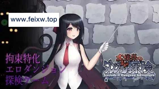 【RPG/官中/更新】大小姐的迷宫探险/お嬢様のダンジョン探検V1.03.2 [度盘/秒传]【166M】-游戏网