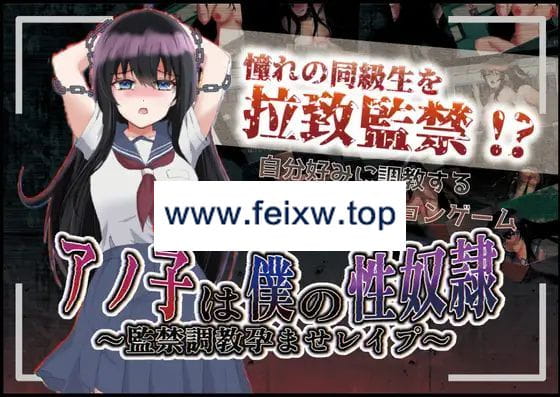 【RPG/机翻/新作】アノ子は僕の性奴隷 〜監禁調教孕ませレイプ〜 Ver1.01【1.9G/度盘】-游戏网