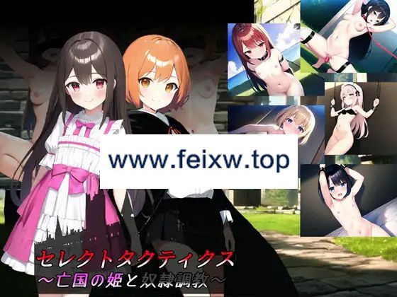 【SRPG/机翻】セレクトタクティクス ～亡国の姫と奴隷調教～ Ver1.04【1.6G/度盘】-游戏网