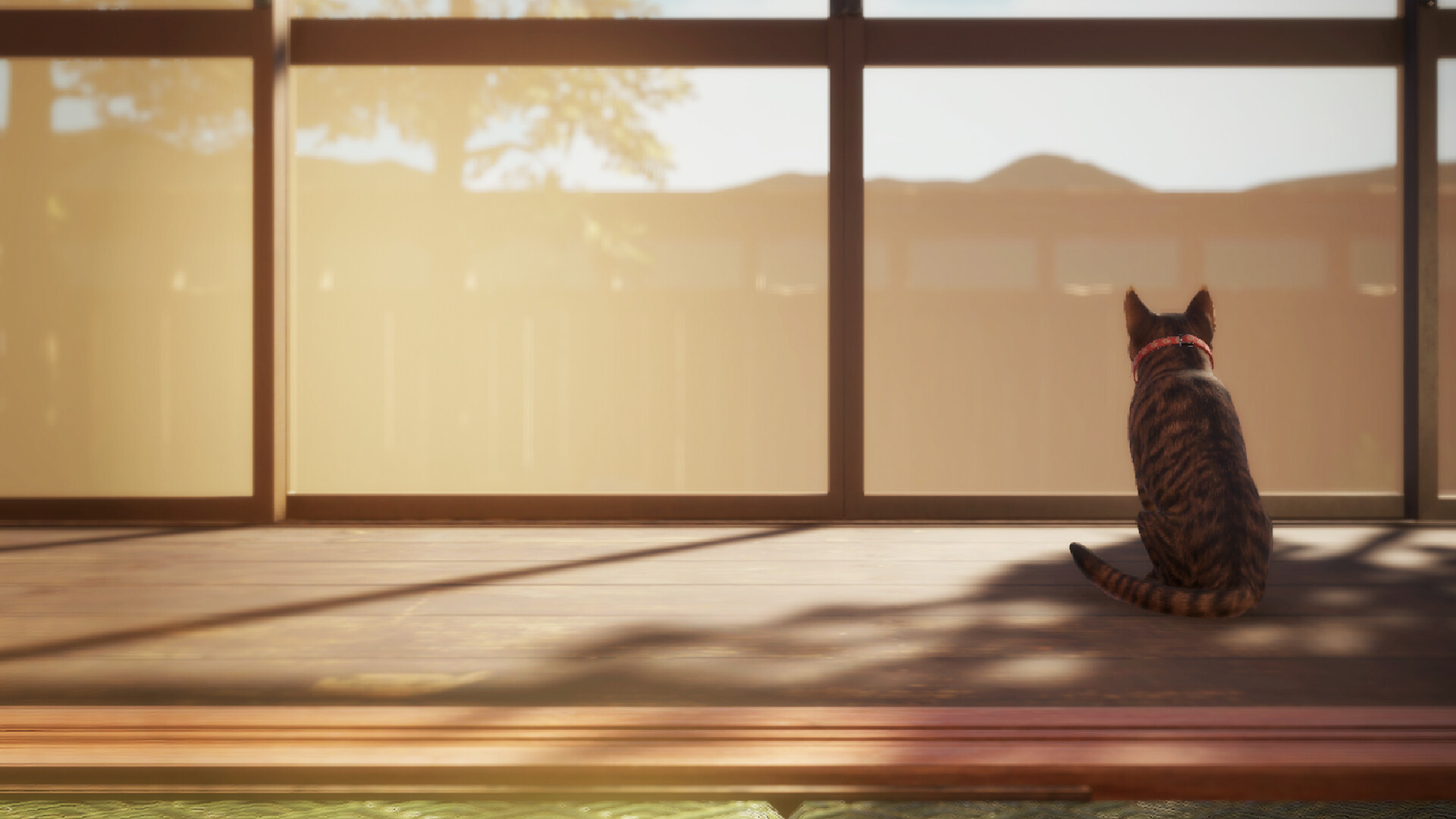 猫还在逃吗？/Still It Runs-游戏网