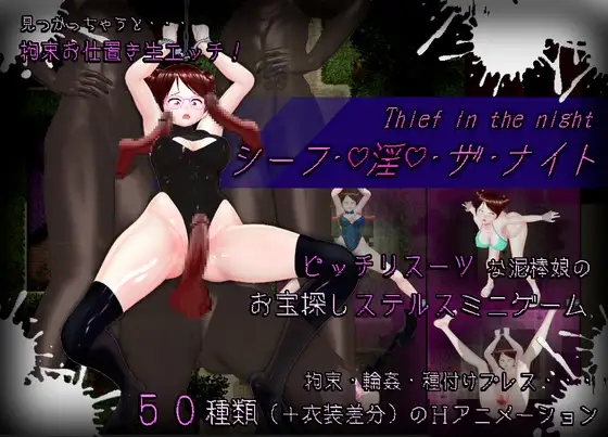 [RPG/PC/机翻汉化] 盗贼·淫·夜晚 シーフ・淫・ザ・ナイト [2G/百度]-游戏网