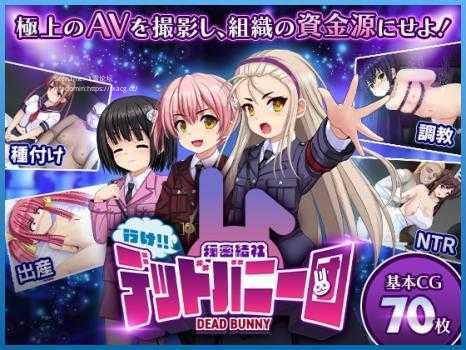 [SLG/PC/AI汉化] 行吧！！秘密结社死番兔团 行け!! 秘密結社デッドバニー団 ver1.0.08 v1227 [800M/微云OD]-游戏网