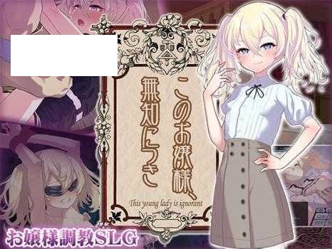 [SLG/PC/AI汉化] 这位小姐，因无知所致。 このお嬢様、無知につき Ver2 V1.1.0 [355M/微云OD]-游戏网