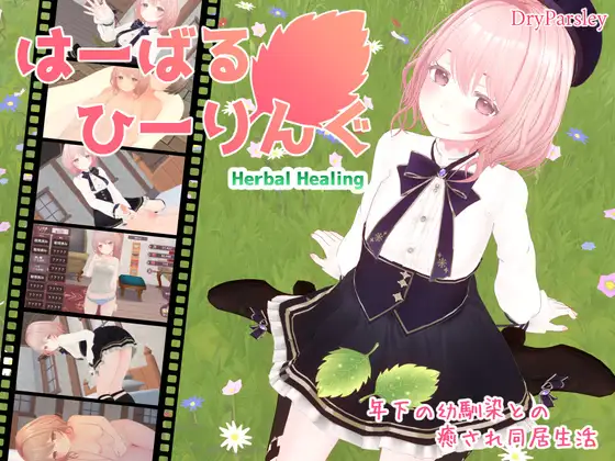 [SLG/PC] はーばるひーりんぐ [2G/微云OD]-游戏网